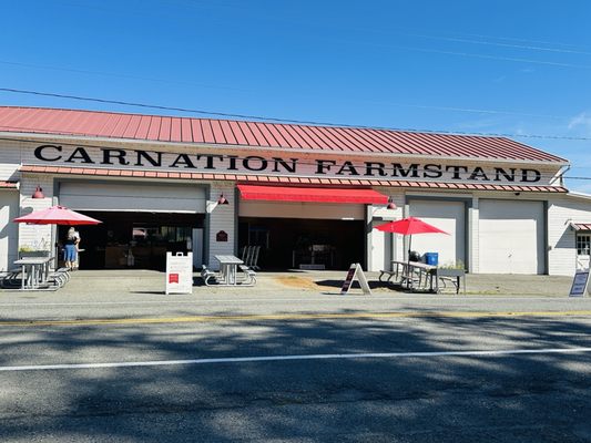 Carnation Farms by null
