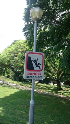 Mount Emily Park by null