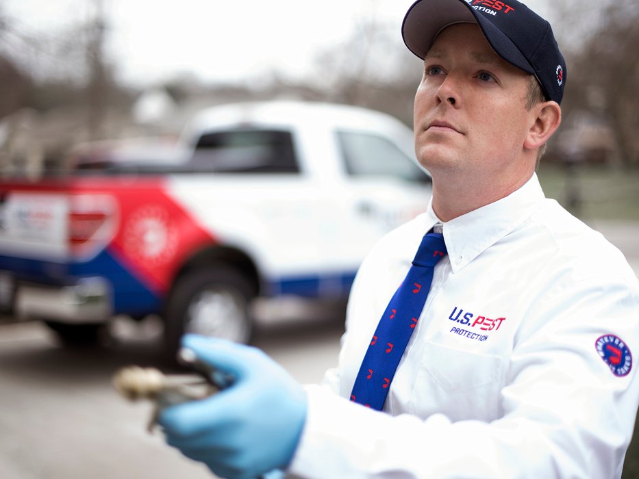 US PEST PROTECTION Updated September 2024 24 Photos & 31 Reviews