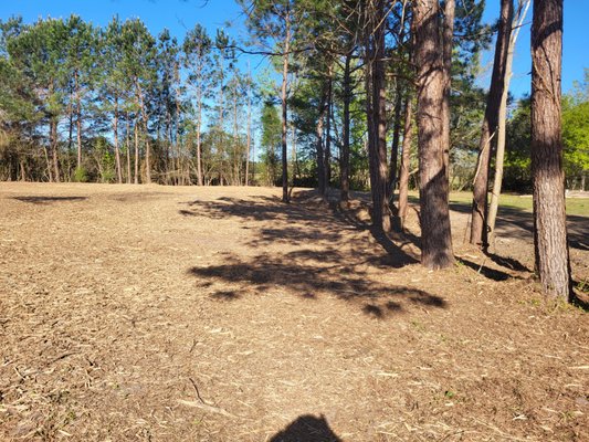 Residential - Will clear any residential lot.