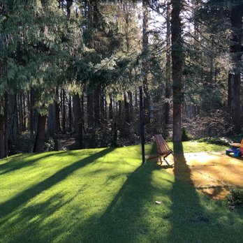 Pro Time Lawn Seed - Nurseries & Gardening Near Me - Portland, Oregon Pro Time Lawn Seed - Nurseries & Gardening Near Me - Portland, Oregon