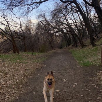 The Wildlands Conservancy - @roccothrgermanshepherdrescue loves coming here - Community Service/Non-Profit Near Me - Oak Glen, California The Wildlands Conservancy - @roccothrgermanshepherdrescue loves coming here - Community Service/Non-Profit Near Me - Oak Glen, California