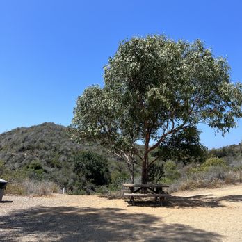 Will Rogers State Historic Park - near the top of the main loop is a little picnic table. - Parks Near Me - Pacific Palisades, California Will Rogers State Historic Park - near the top of the main loop is a little picnic table. - Parks Near Me - Pacific Palisades, California