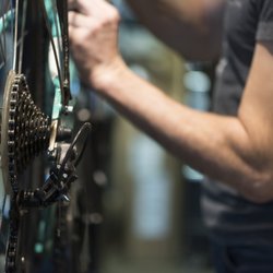 Halifax Cycles - We repair all makes and models