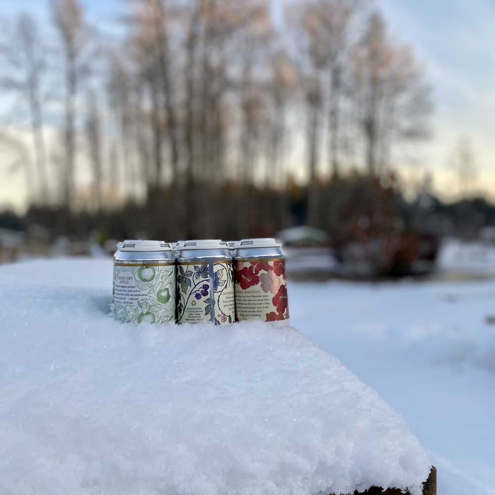 Variety cider pack