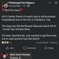 Northwest Naturals - Bird flu case not safe