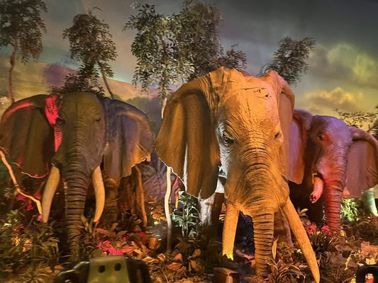 Rainforest Cafe by null