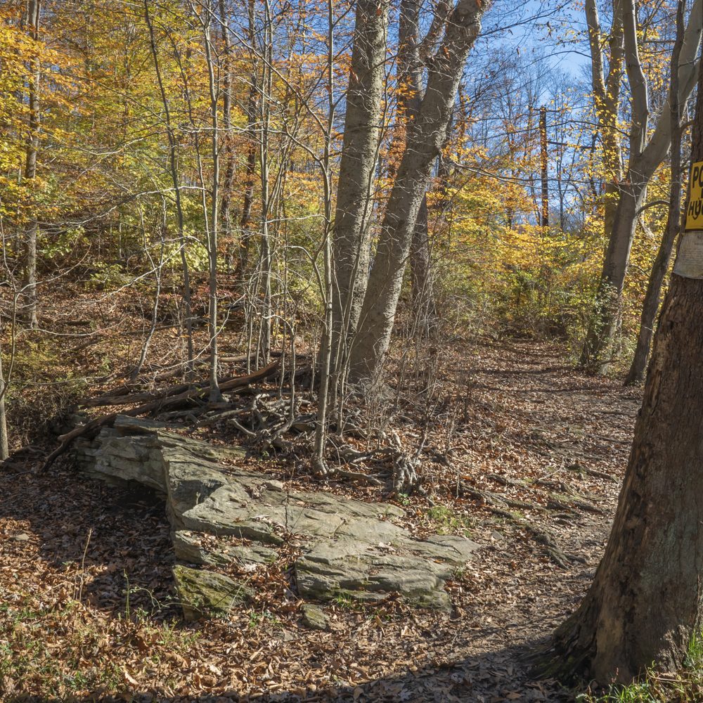 darlington trail - Hiking Near Me - Media, Pennsylvania darlington trail - Hiking Near Me - Media, Pennsylvania