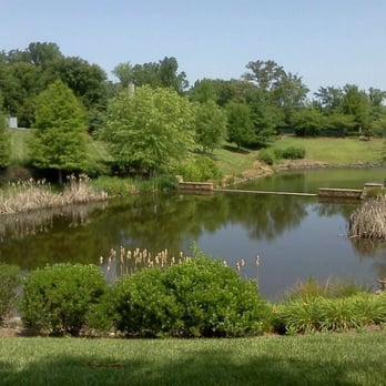 Symphony Park at SouthPark - The stage is to the right of this shady view. - Parks Near Me - Charlotte, North Carolina Symphony Park at SouthPark - The stage is to the right of this shady view. - Parks Near Me - Charlotte, North Carolina
