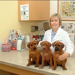 Spring Oaks Animal Care Center