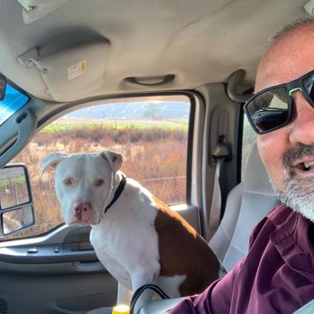 Perfect Pour Excursions - Phil taking our dog Atlas on a wine tour in his truck. - Wine Tours Near Me Perfect Pour Excursions - Phil taking our dog Atlas on a wine tour in his truck. - Wine Tours Near Me
