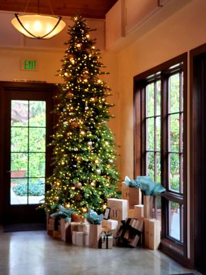 Harney Lane Vineyards by null