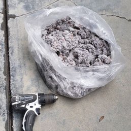 Dryer vent lint Dryer vent lint