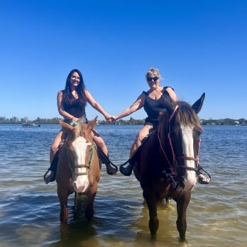 Florida Beach Horses - Beaches Near Me - Bradenton, Florida Florida Beach Horses - Beaches Near Me - Bradenton, Florida