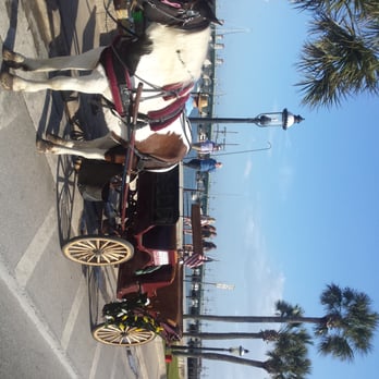 Southern Carriages and Distribution - Our horse and carriage. - Tours Near Me - St. Augustine, Florida