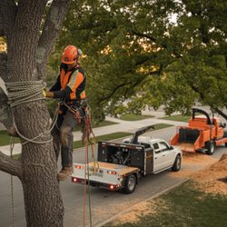 Reston Tree Experts