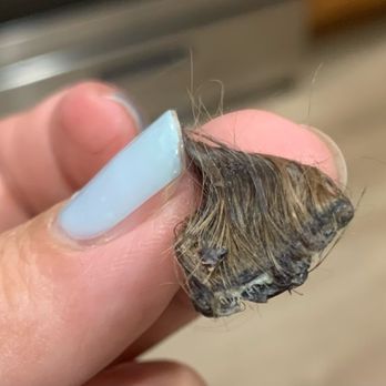 Bogart's Bone Appetit - Vet confirmed this is a perfect cut of my dog's ear that came off when i gave her a bath - Pet Groomers Near Me - Las Vegas, Nevada