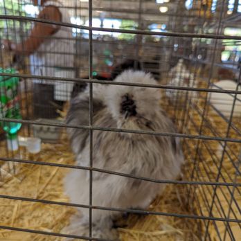 Ohio State Fair - Festivals Near Me - Columbus, Ohio