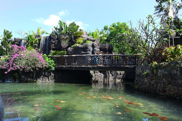 Kona Coast Vacations by null