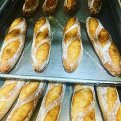 8in hoagie/hero rolls.