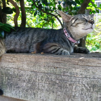 東池袋中央公園 12 Photos 東池袋3 1 6 豊島区 東京都 Japan Yelp