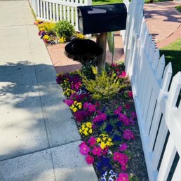 Front yard
