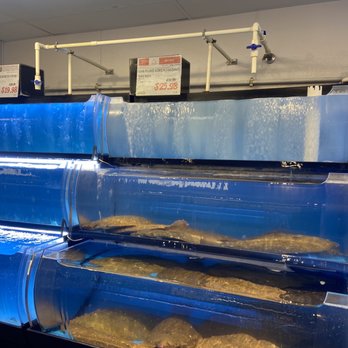 H Mart - Mesa - Fresh flounder - Grocery Near Me - Mesa, Arizona