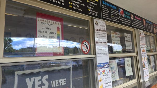 The Summer House by null