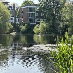Hampstead Heath