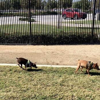 Heroes Dog Park - Kona & Noah - Dog Parks Near Me - Murrieta, California Heroes Dog Park - Kona & Noah - Dog Parks Near Me - Murrieta, California