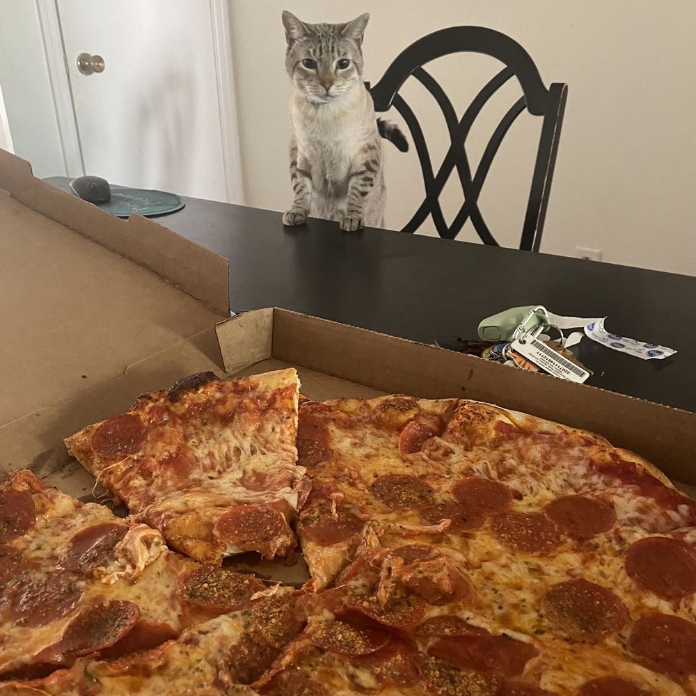 Little Italy - Large pepperoni, cat for scale - Pizza Near Me - Athens, Georgia