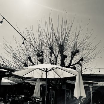 The Hideout Kitchen - Bright Saturday morning before rainy week ahead - New American Near Me - Lafayette, California The Hideout Kitchen - Bright Saturday morning before rainy week ahead - New American Near Me - Lafayette, California
