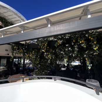 Truly Pizza - Ambiance - Pizza Near Me - Dana Point, California Truly Pizza - Ambiance - Pizza Near Me - Dana Point, California