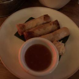 Vietnamese Spring Roll