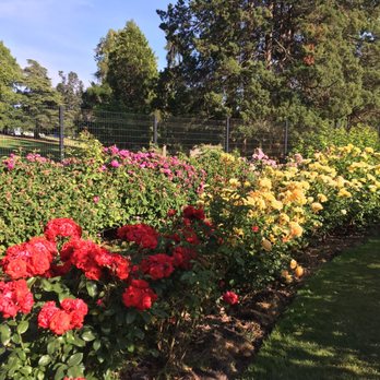 Point Defiance Rose Garden - Botanical Gardens Near Me - Tacoma, Washington