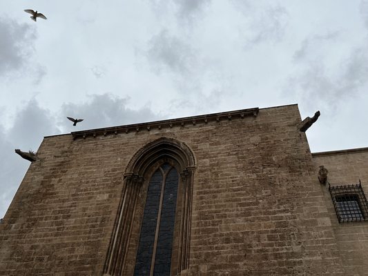 Valencia Cathedral by null