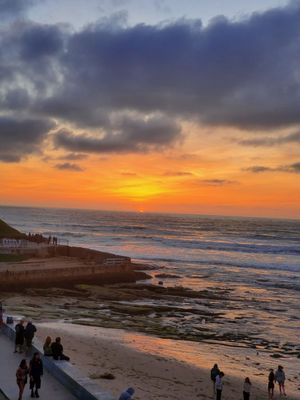 Ocean Beach Farmers Market by null