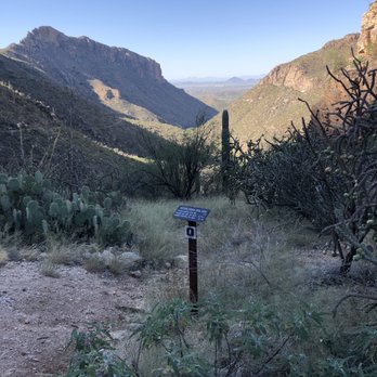 Sabino Canyon - Coming down Phoneline Trail at Old Sabino Trail intersection - Parks Near Me - Tucson, Arizona Sabino Canyon - Coming down Phoneline Trail at Old Sabino Trail intersection - Parks Near Me - Tucson, Arizona