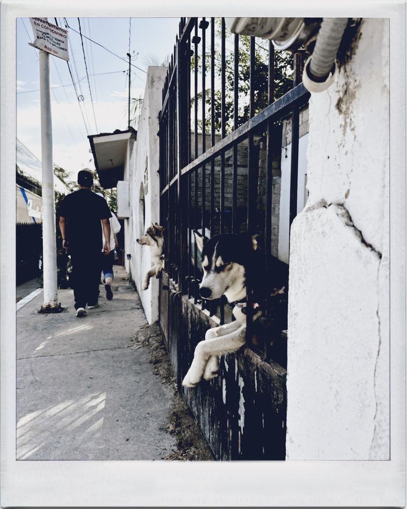 TEQUILAMAMA LUCIA Updated September 2024 52 Photos & 15 Reviews