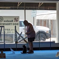Azalea Dog Training Club
