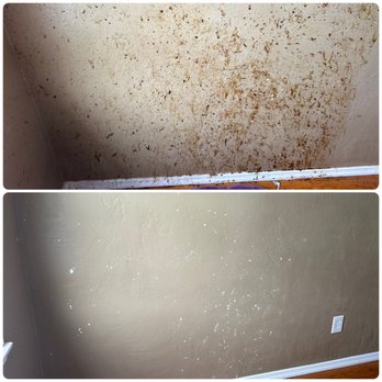 Stephanie's Cleaning Services - Home Organization Near Me Stephanie's Cleaning Services - Home Organization Near Me