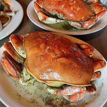 Thanh Long - Roast Crab - Seafood Near Me - San Francisco, California Thanh Long - Roast Crab - Seafood Near Me - San Francisco, California
