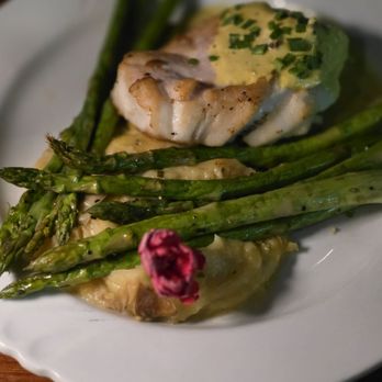 The Doctor’s Office - Grouper with white truffle cream - Seafood Near Me - Holmes Beach, Florida The Doctor’s Office - Grouper with white truffle cream - Seafood Near Me - Holmes Beach, Florida