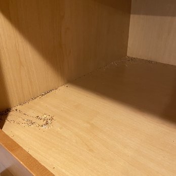 The Dean Clean Team - Home Cleaning Near Me