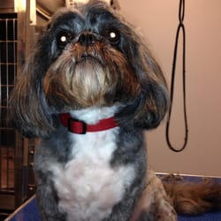 TJs Pet Grooming
