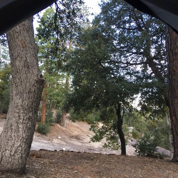 Fern Basin Campground - Hiking Near Me