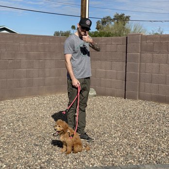 Balancing Paws Dog Training - Teddy - Pet Training Near Me Balancing Paws Dog Training - Teddy - Pet Training Near Me