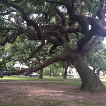 Washington Square - Parks Near Me - Mobile, Alabama
