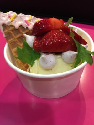 dipdipdip Ice Cream by null