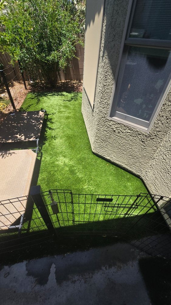 Blue- Waves Cleaning Services - veterans service organization in Marana, AZ